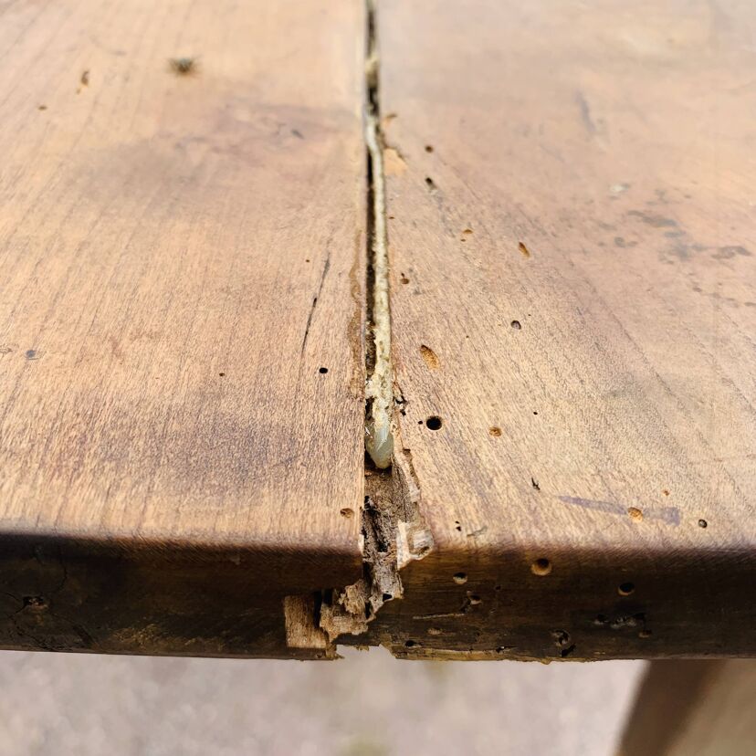 243c0296-04d4-47b9-aa2b-c73b104719b4