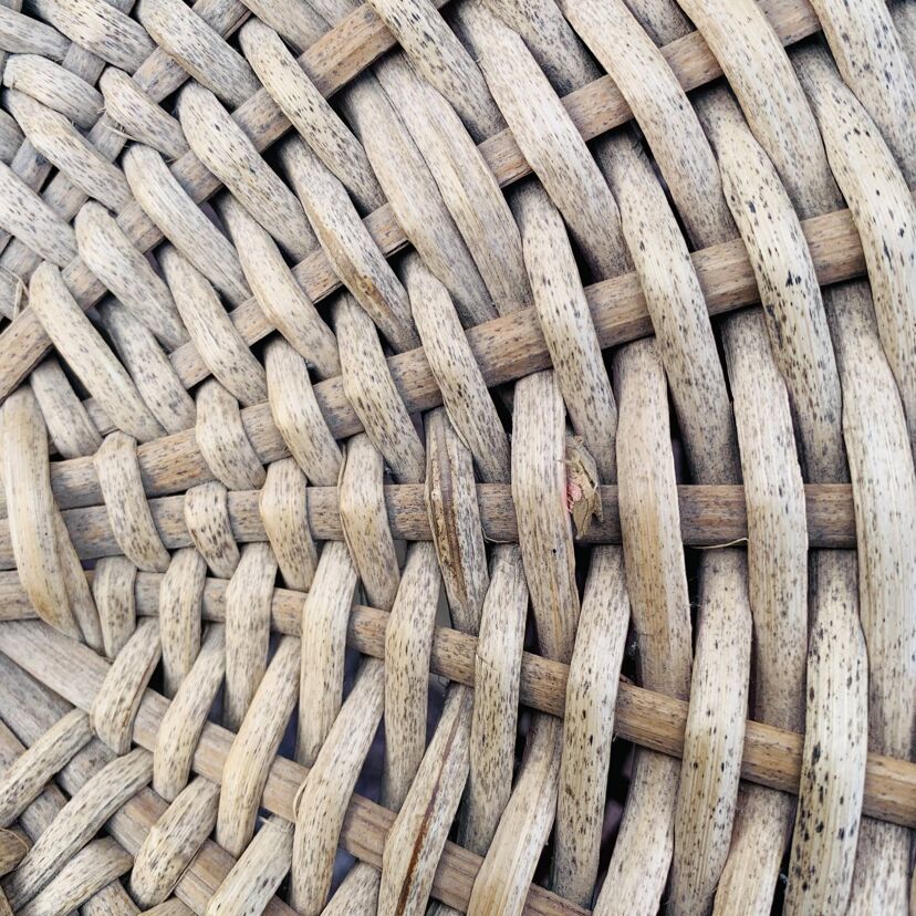 cfb395b6-64b8-409d-a5d2-ab67efd366c2