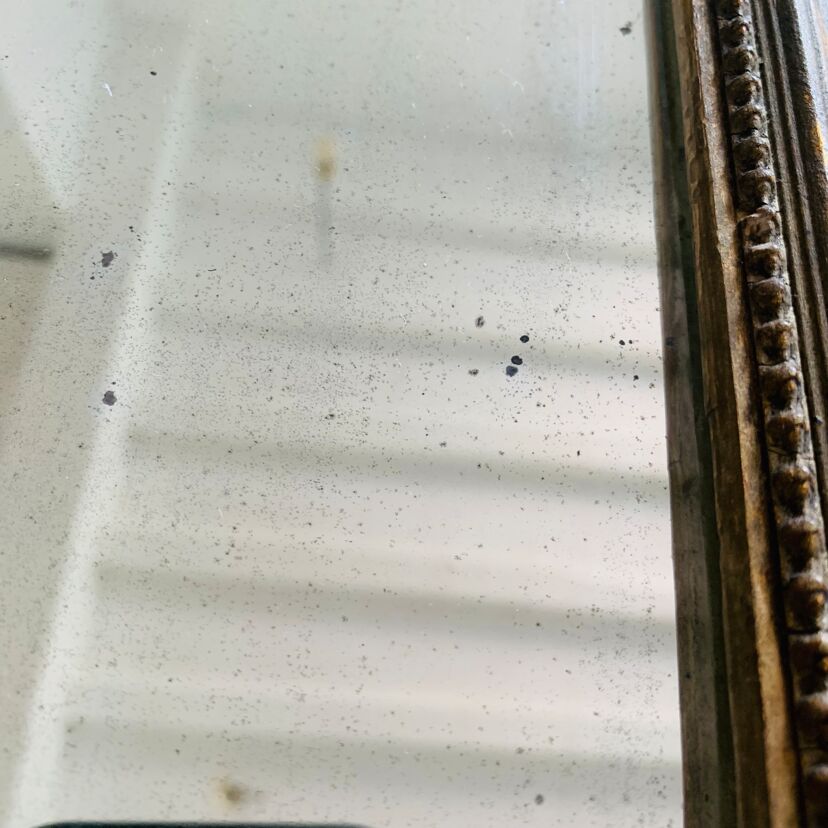 97644f22-d81a-459f-b90e-ae88b512d8d8