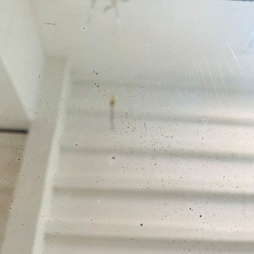 a00706b6-995f-4e1e-8ca4-7c4ed4cb759e